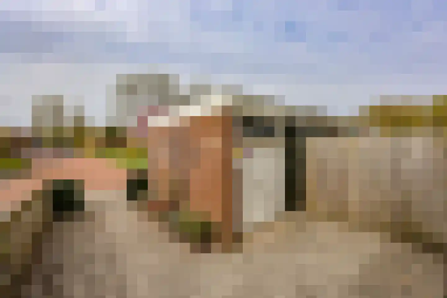 Zwartewater 68 Lelystad thumbnail 30