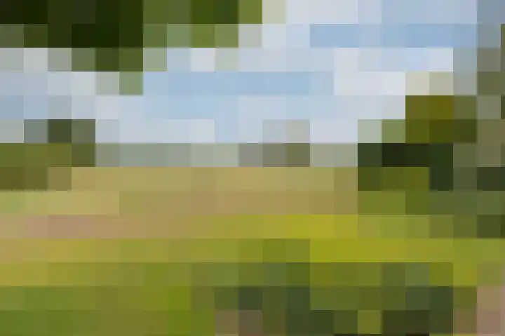 Zwarteweg 1 Groessen thumbnail 59