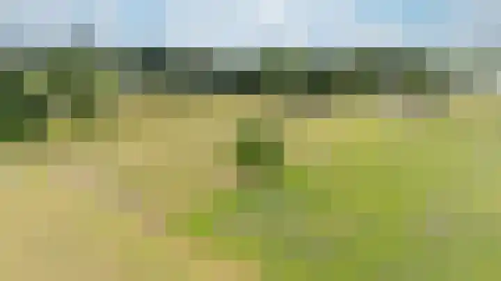 Zwarteweg 1 Groessen thumbnail 63