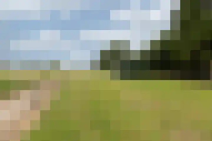 Zwarteweg 1 Groessen thumbnail 66