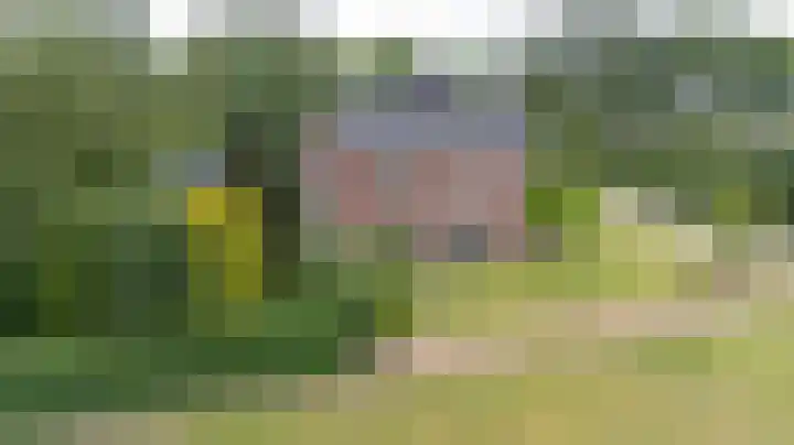 Zwarteweg 1 Groessen thumbnail 72