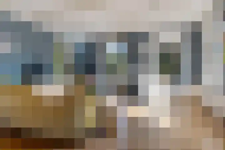 Zwarteweg 15 Spijk thumbnail 12