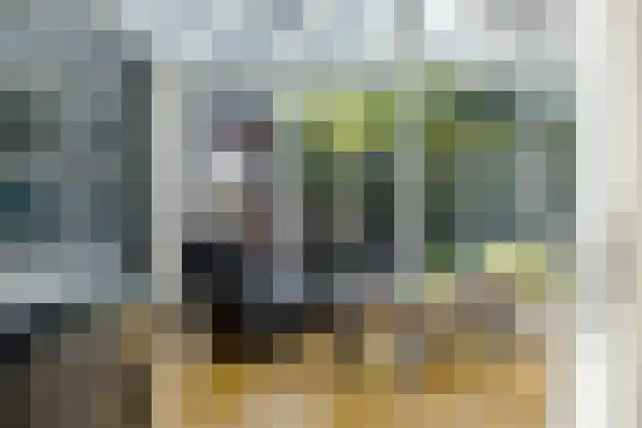 Zwarteweg 15 Spijk thumbnail 18