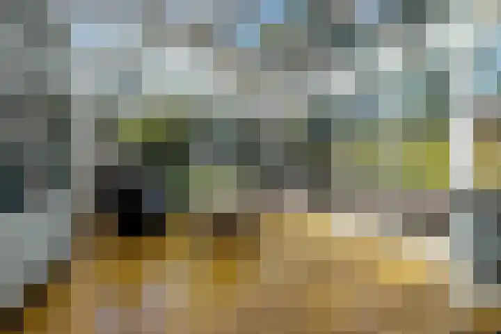 Zwarteweg 15 Spijk thumbnail 20