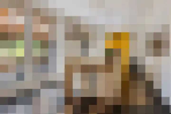 Zwarteweg 15 Spijk thumbnail 25
