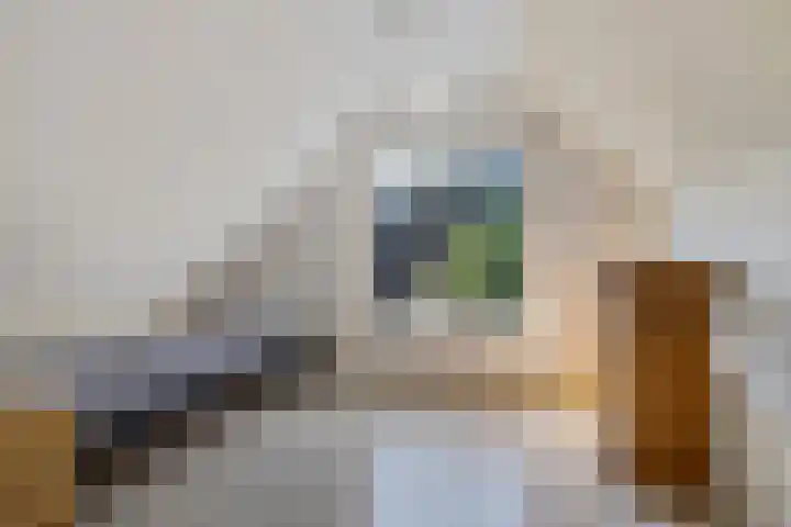 Zwarteweg 15 Spijk thumbnail 34
