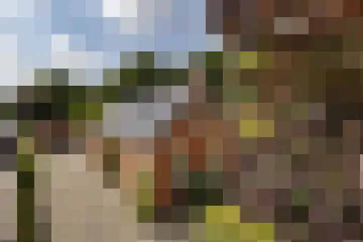 Zwarteweg 15 Spijk thumbnail 38