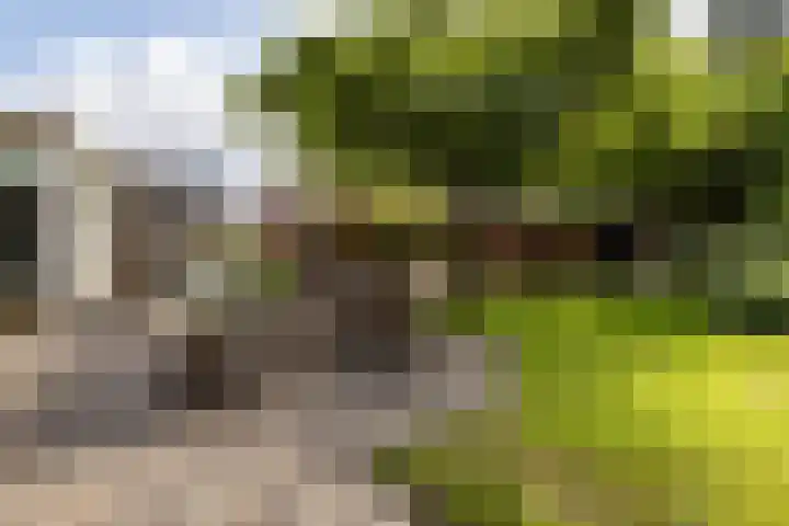 Zwarteweg 15 Spijk thumbnail 42