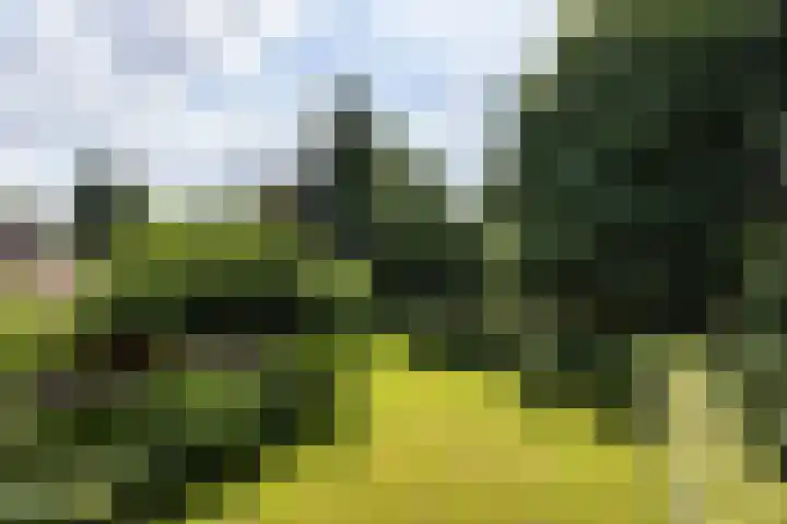 Zwarteweg 15 Spijk thumbnail 43