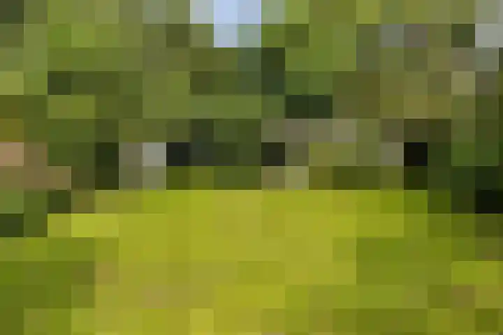 Zwarteweg 15 Spijk thumbnail 44