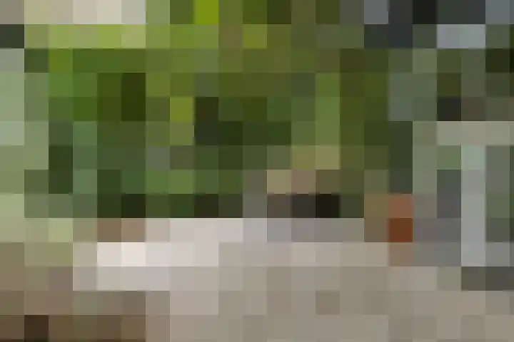 Zwarteweg 15 Spijk thumbnail 45