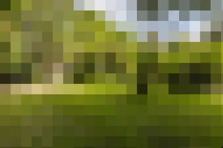 Zwarteweg 15 Spijk thumbnail 48