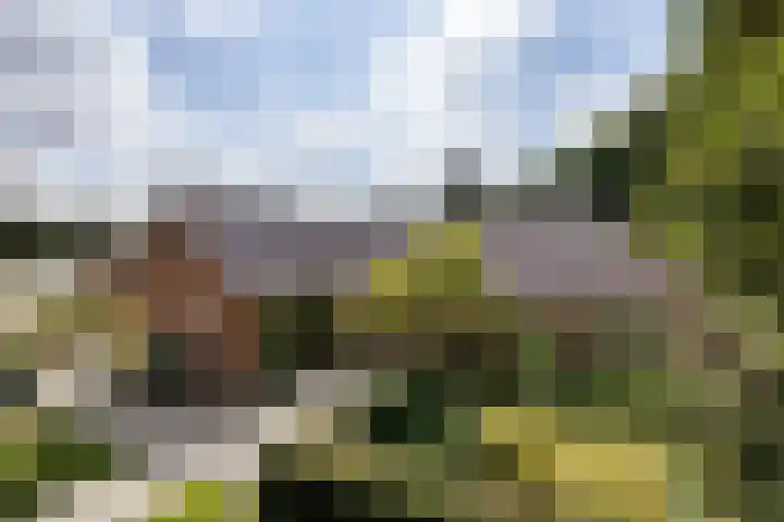 Zwarteweg 15 Spijk thumbnail 5
