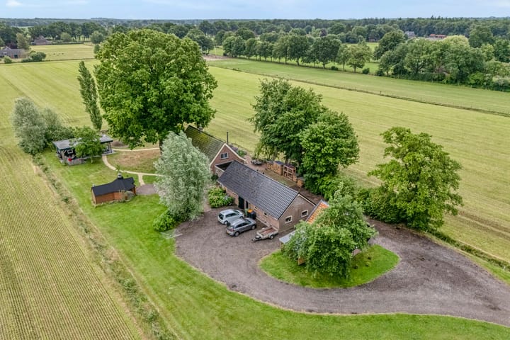 Zwartschaap 31 in Stuifzand foto