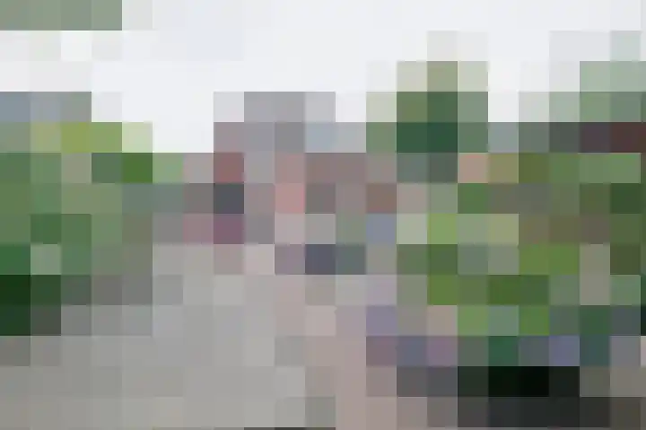 Zwartwatersweg 52 Assen thumbnail 30