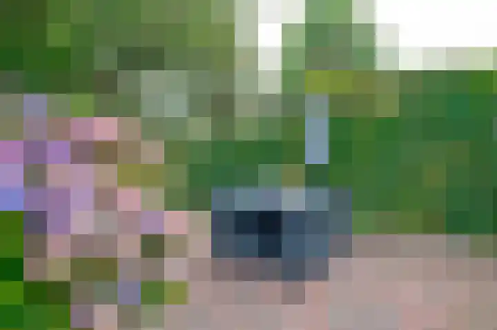 Zwartwatersweg 52 Assen thumbnail 32