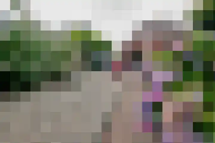 Zwartwatersweg 52 Assen thumbnail 33