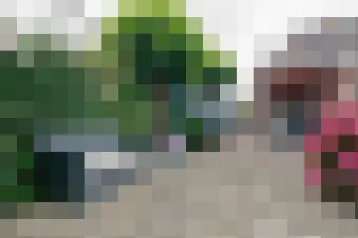 Zwartwatersweg 52 Assen thumbnail 35