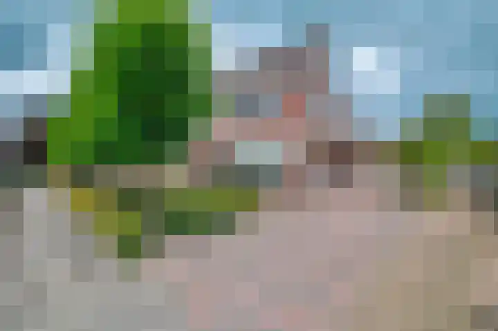 Zwartwatersweg 52 Assen thumbnail 49