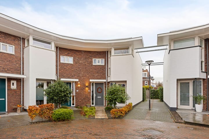 Zwemkrab 9 in Bergen op Zoom foto