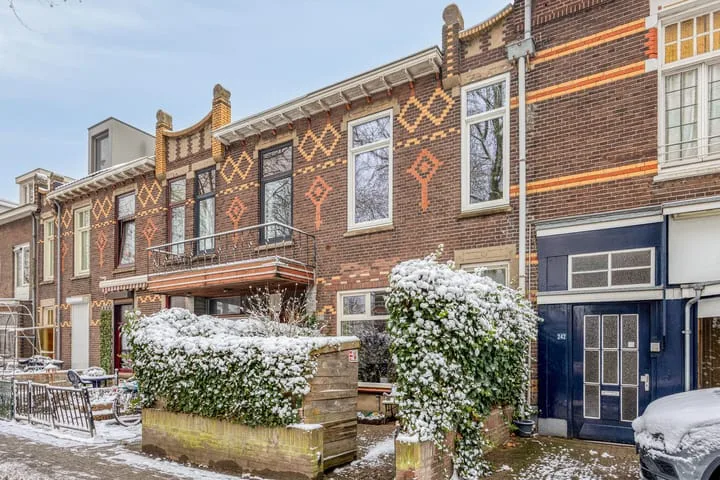 Zwenkgras 1 in Leiden