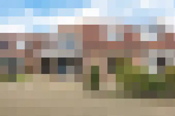 Zwenkgras 22 Borne