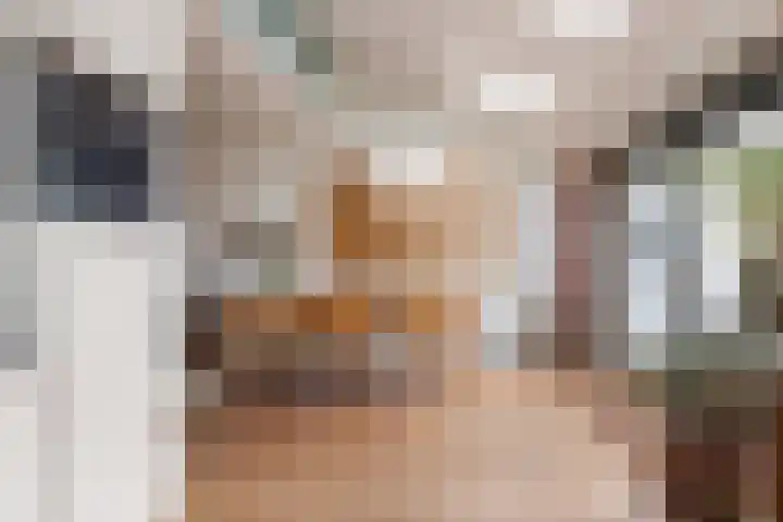 Zwenkgras 28 Gouda thumbnail 22