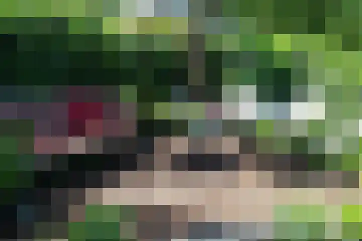 Zwenkgras 28 Gouda thumbnail 32