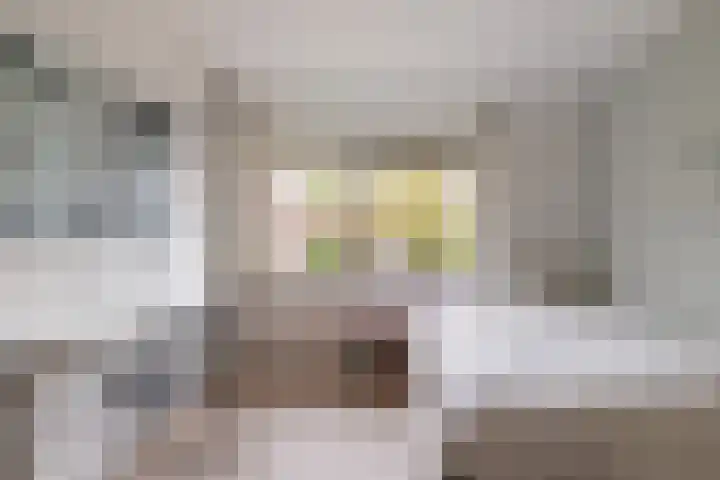 Zwenkgras 28 Gouda thumbnail 46