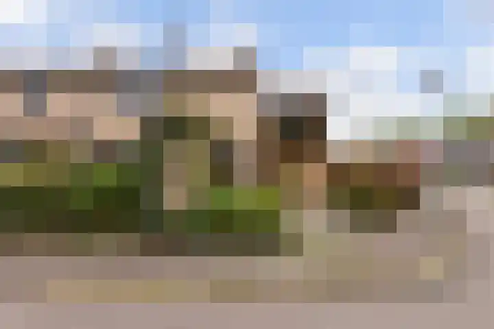 Zwenkgras 28 Gouda thumbnail 5
