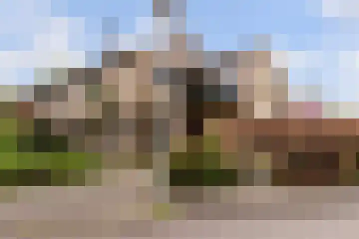 Zwenkgras 28 Gouda thumbnail 56