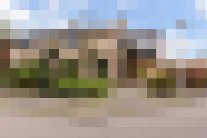 Zwenkgras 28 Gouda thumbnail 64