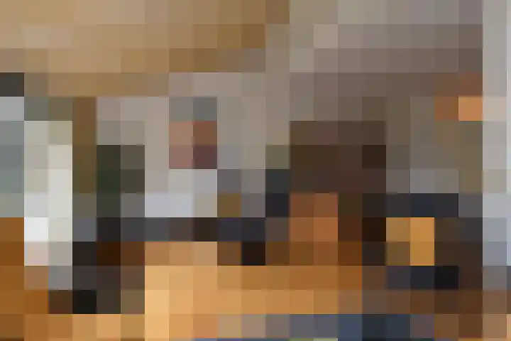 Zwenkgras 53 Gouda thumbnail 11