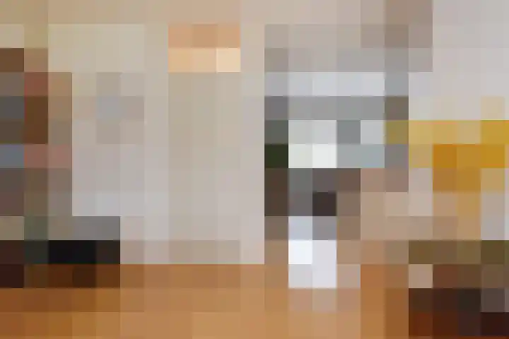 Zwenkgras 53 Gouda thumbnail 12
