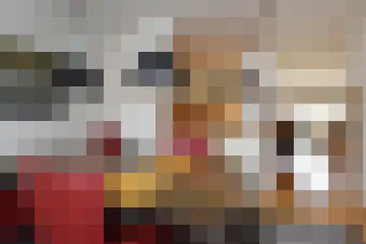 Zwenkgras 53 Gouda thumbnail 15