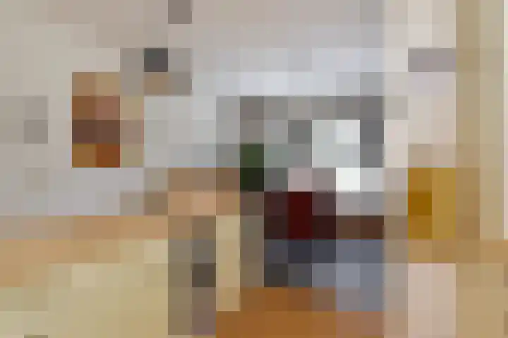 Zwenkgras 53 Gouda thumbnail 18