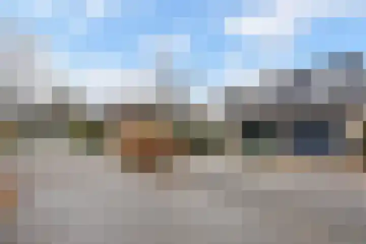 Zwenkgras 53 Gouda foto 2