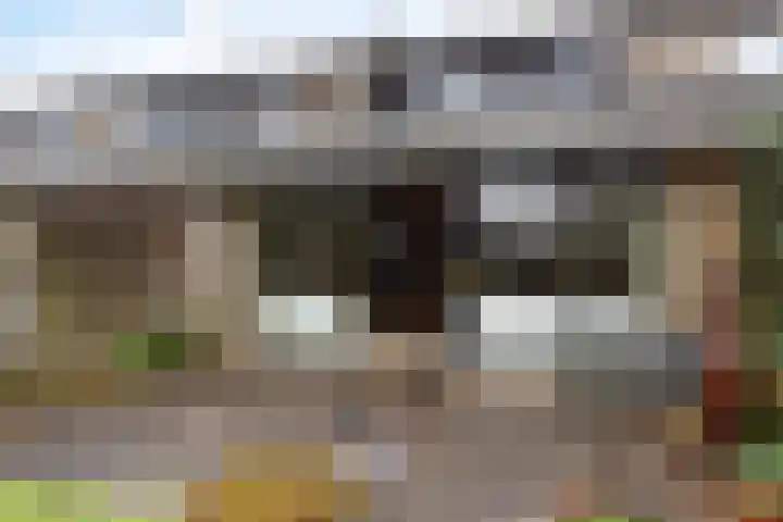 Zwenkgras 53 Gouda thumbnail 22