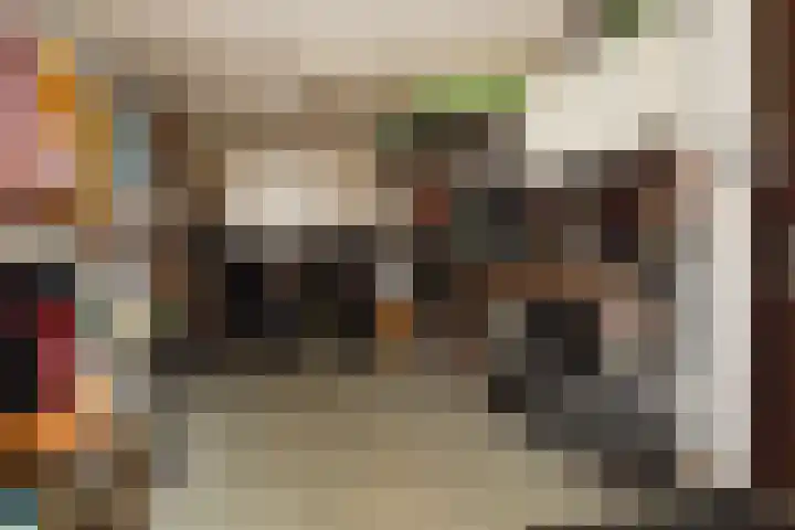 Zwenkgras 53 Gouda thumbnail 28