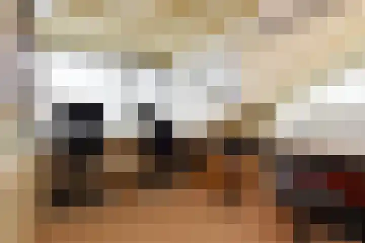 Zwenkgras 53 Gouda thumbnail 31