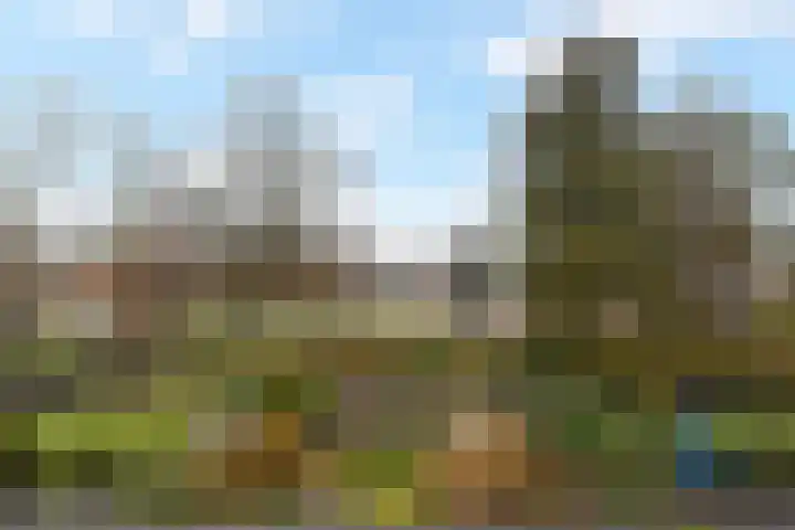 Zwenkgras 53 Gouda thumbnail 46
