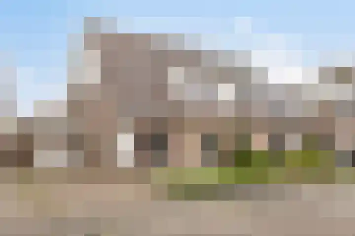 Zwenkgras 8 Bovensmilde