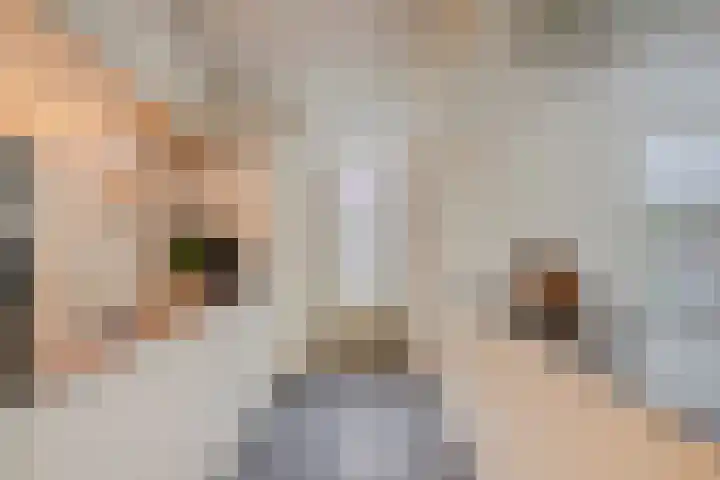 Zwerfvelden 27 Best thumbnail 11