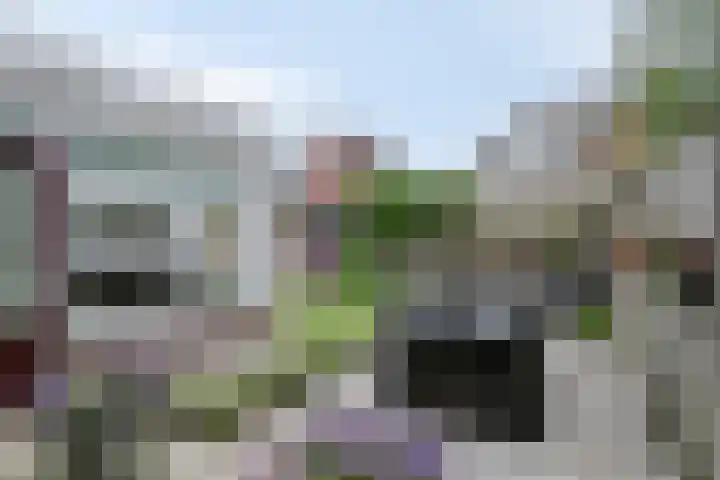 Zwerfvelden 27 Best thumbnail 26