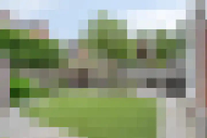 Zwerfvelden 27 Best thumbnail 27