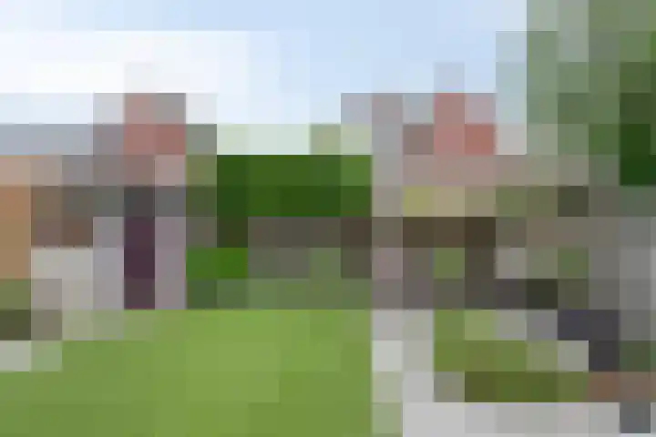 Zwerfvelden 27 Best thumbnail 30