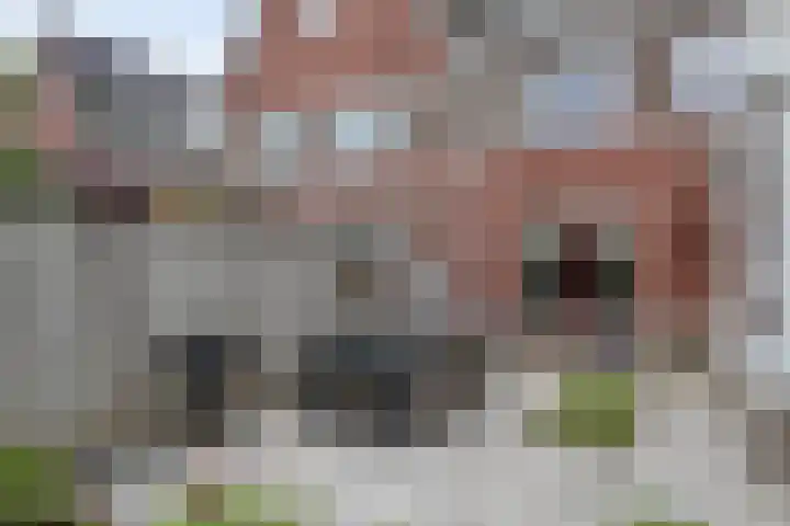 Zwerfvelden 27 Best thumbnail 31