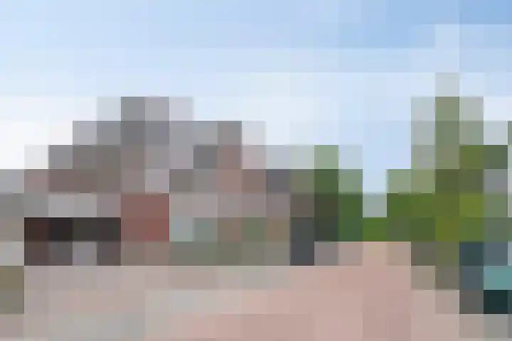 Zwerfvelden 27 Best thumbnail 33