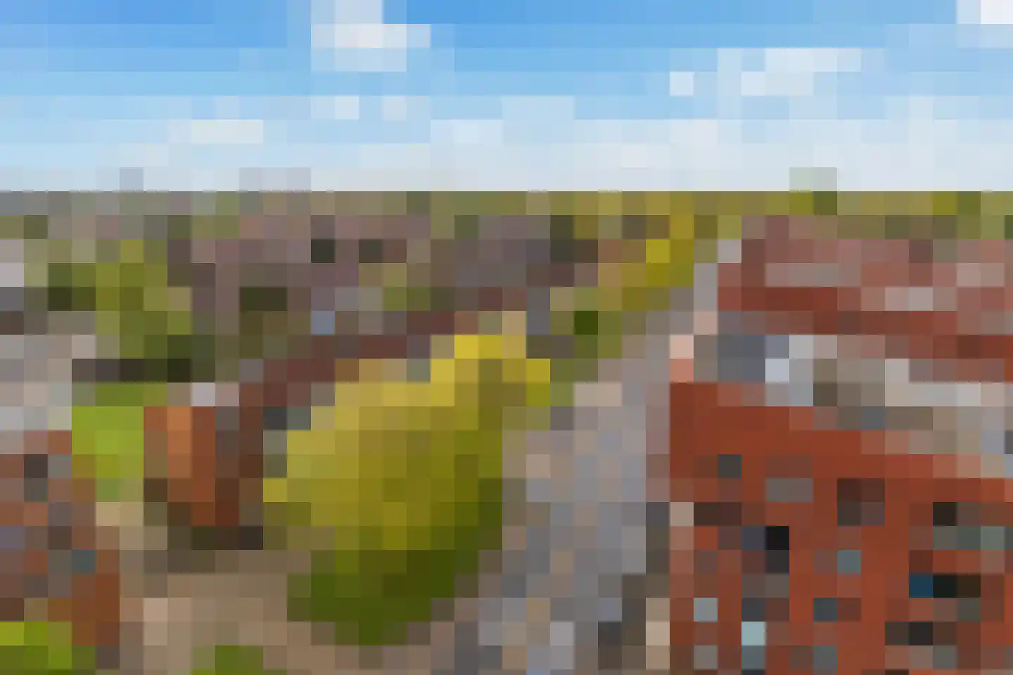 Zweringweg 2 81 Enschede thumbnail 38