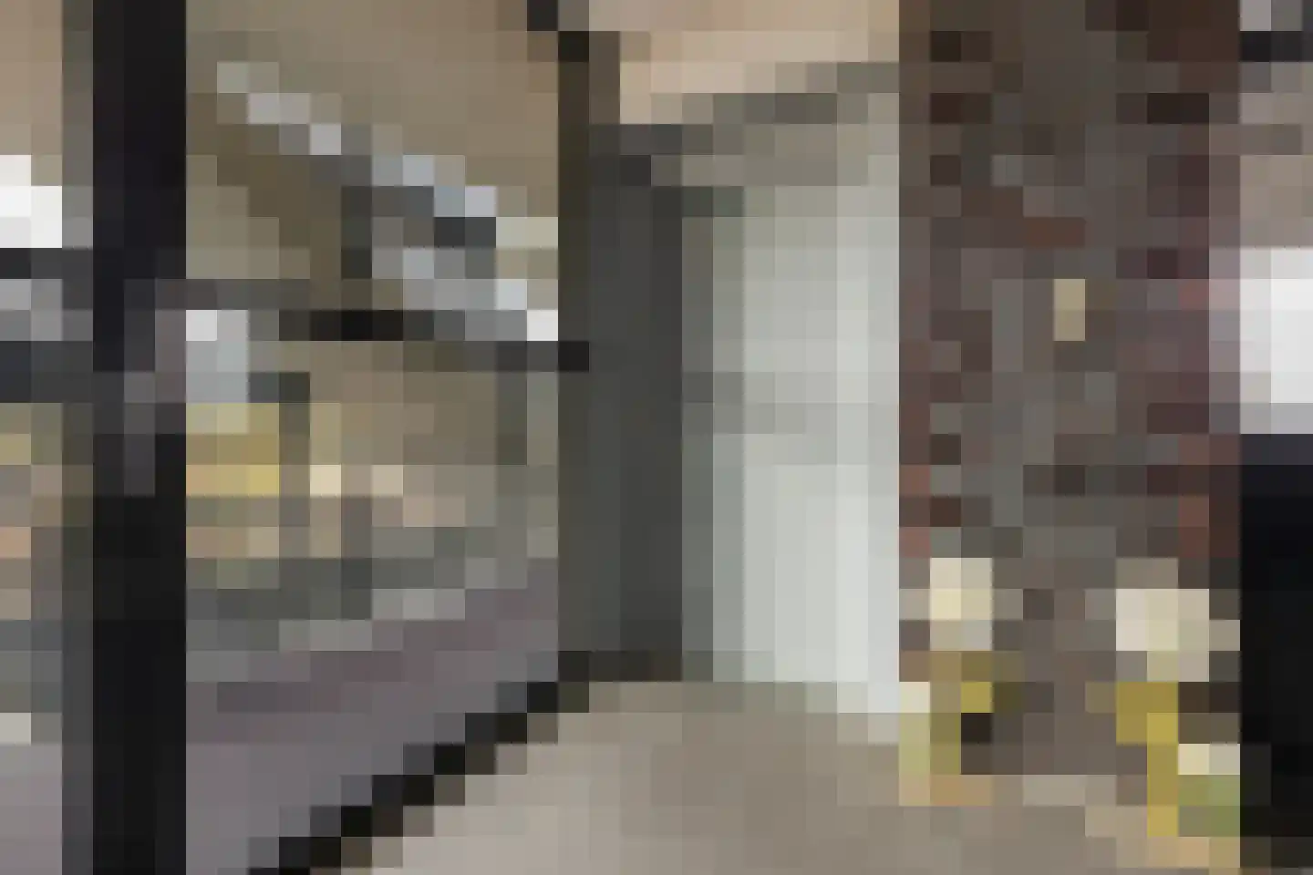 Zweringweg 2 81 Enschede thumbnail 9